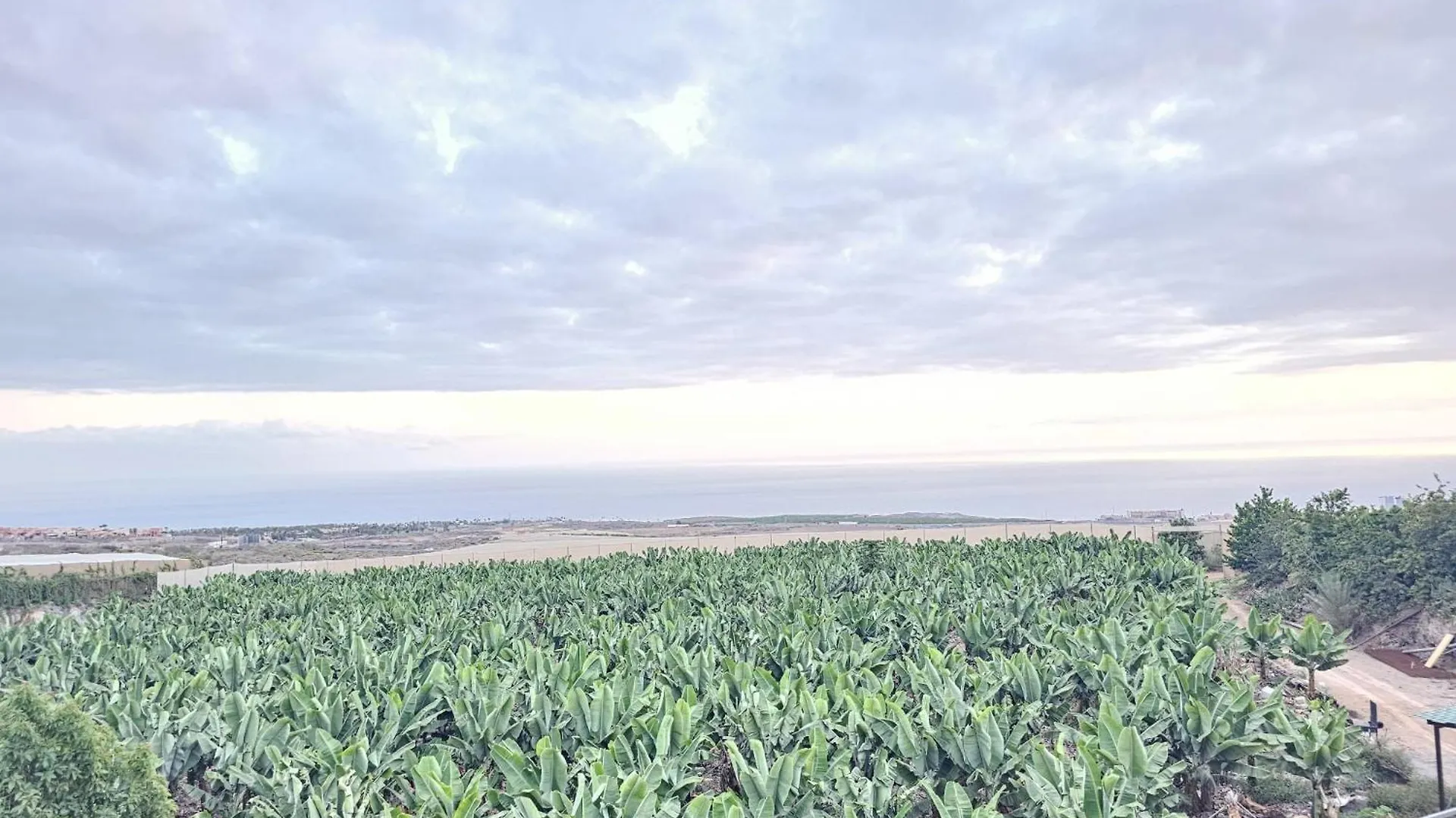 Enchanting Dream View A5, Finca Atalaya In Costa Adeje 스페인