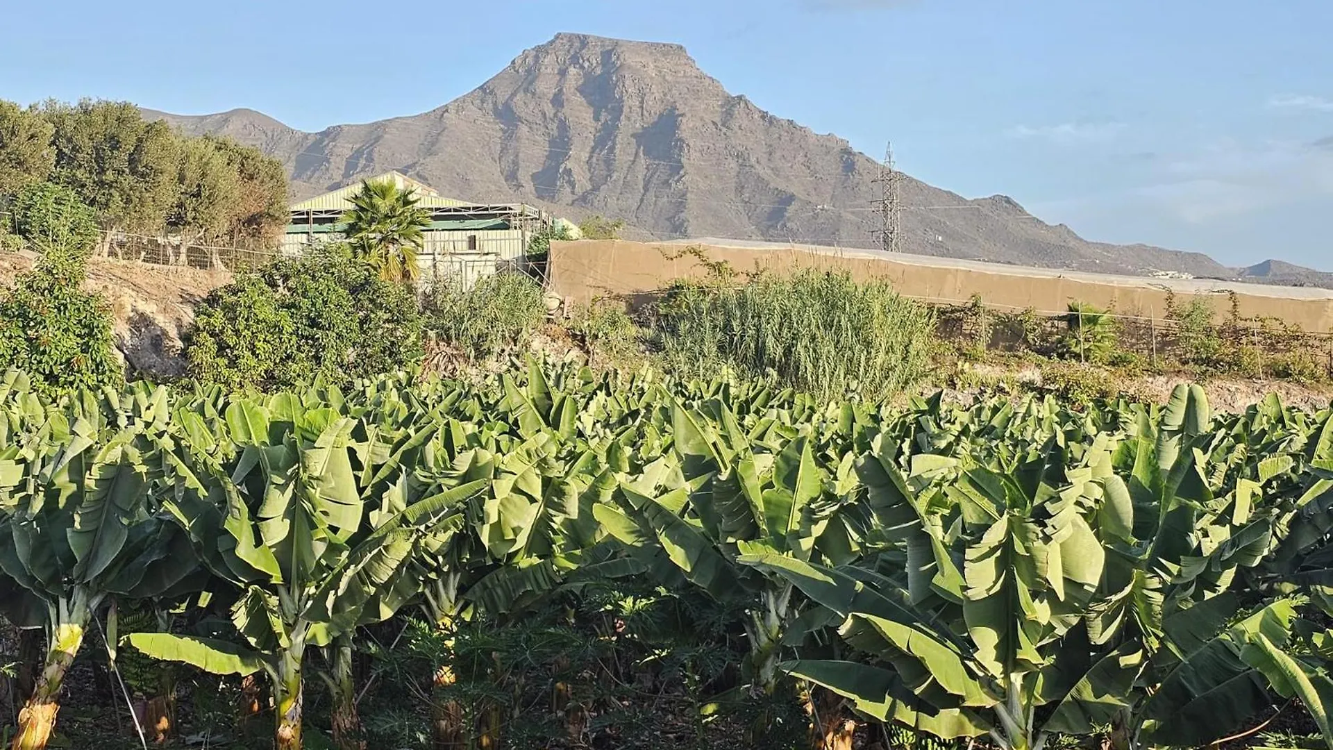 Enchanting Dream View A5, Finca Atalaya In Costa Adeje 아파트 아데제